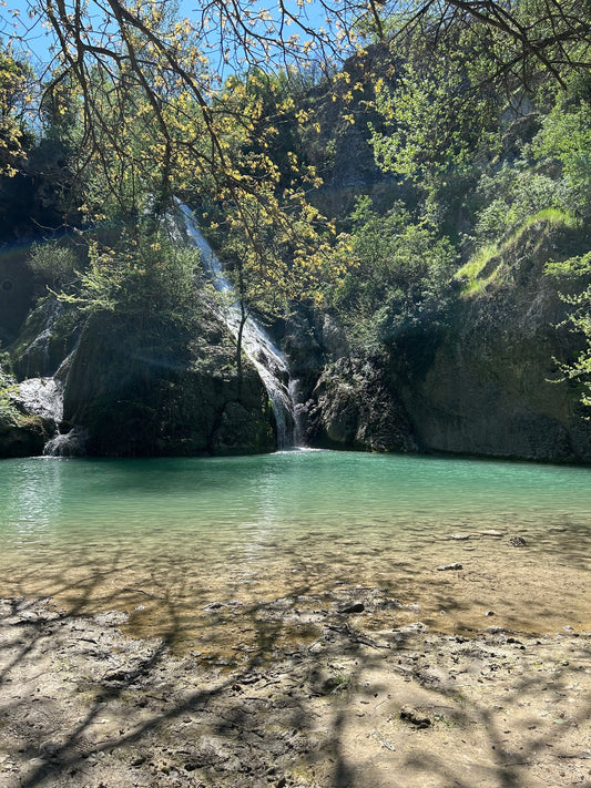 Нашата история : ) 🦟